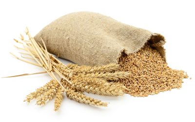 Yem ve Katkı Kimyasalları